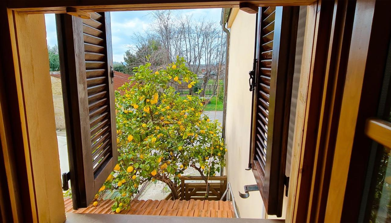 Agriturismo Barbadoro San Vincenzo Kültér fotó